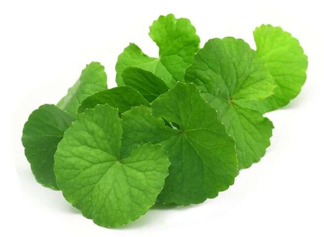 Gotu Kola con Prostamin Forte