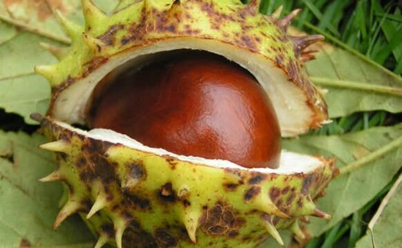 Métodos para tratar a prostatite nos homes